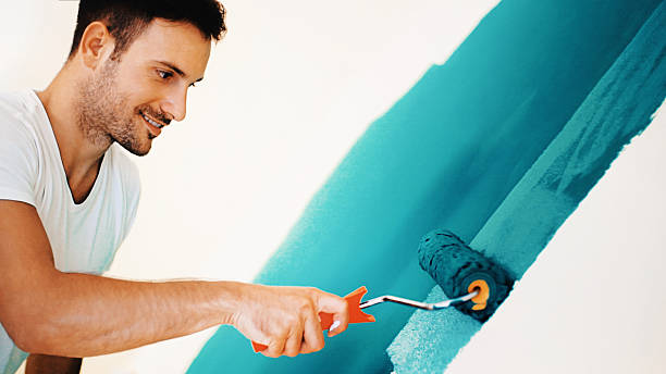 Best Repainting for Renovations  in St Charles, IL